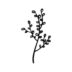 Hand drawn doodle vector branch for posters, greeting cards, web, clothes, wrapping paper. Floral outline element isolated on white background.