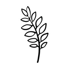 Hand drawn doodle vector branch for posters, greeting cards, web, clothes, wrapping paper. Floral outline element isolated on white background.