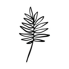 Hand drawn doodle vector branch for posters, greeting cards, web, clothes, wrapping paper. Floral outline element isolated on white background.