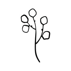 Hand drawn doodle vector branch for posters, greeting cards, web, clothes, wrapping paper. Floral outline element isolated on white background.