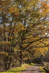 Varetz (Corrèze, France) - Vue campagnarde en automne