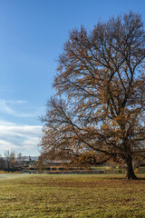 Objat (Corrèze, France) - Base de loisirs - Vue automnale