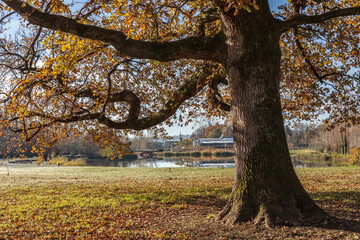 Objat (Corrèze, France) - Base de loisirs - Vue automnale