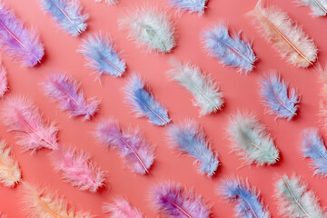 multicolored feathers are laid out on a light pink background, geometric flat lay, feathers parallel to each other. top view, flatly abstract