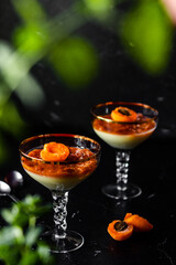 Tasty italian dessert panna cotta with apricot jam layer with green plant background. Low key. Vertical orientation. Negative space.