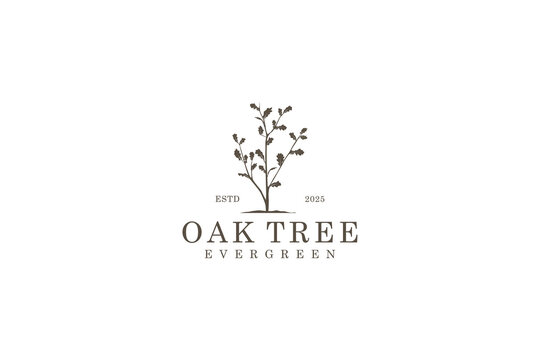 Oak tree logo silhouette simple minimalist icon, nature tree oak symbol, eco green leaf. environment evergreen icon.