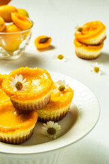 Tasty mini lemon and apricot cheesecakes on a white plate. Apricots background. Vertical orientation.