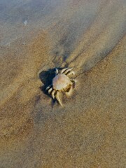 Travel to brazilian holiday season