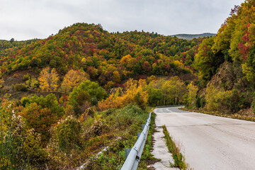 Fototapeta premium Street view of the forest with fall colours near in zagori epirus greece