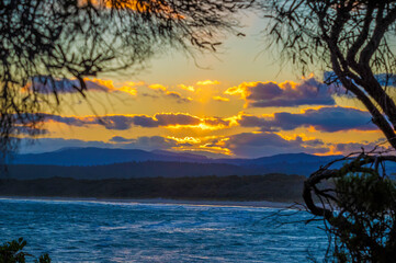  Sunset Through Trees 