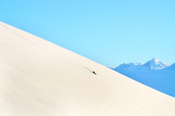 Fototapeta na wymiar Snowboarder in Alaska backcountry.