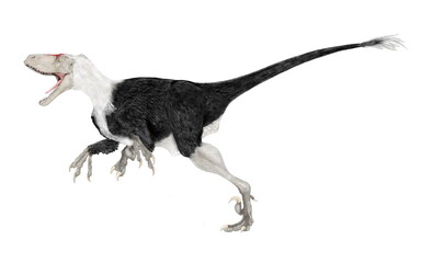 恐竜、ディノニクス　白亜紀前期から後期にかけて北アメリカに生息したドロマエオサウルス科の小型肉食恐竜。ヴェロキラプトルよりも一回り大きく『恐ろしい鉤爪』という意味の学名を持っている。最大推定体長は4メートル。集団行動に適する眼と知能、攻撃性、敏捷性を持っていた。 © Mineo