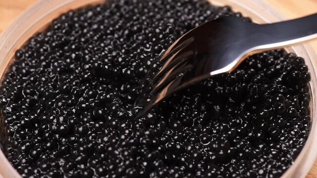 gourmet paddlefish black caviar and metal fork, close up