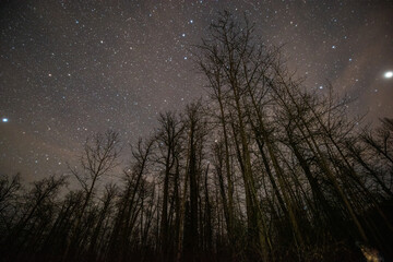 Alaskan Night Sky