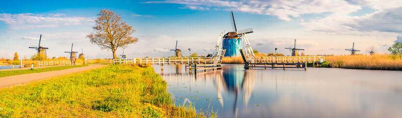 Traditional dutch Windmills in afternoon light at Kinderdijk 