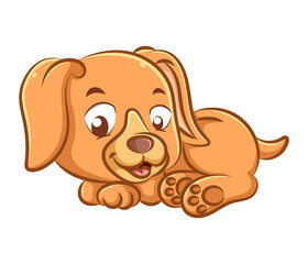 The cute little puppy with the long ears is laying with the big smile in his face