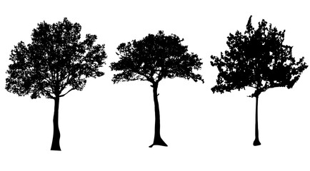 set of tree silhouettes isolated on white background vector design