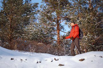 Man nordic walking through snow covered forest. Winter tourism in mountains.