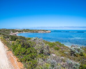 Dynamite Bay, Green Head WA: Mid-west wildflower season September 2020