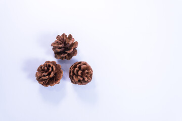Christmas and New Year holiday background. Pine cones christmas on white background