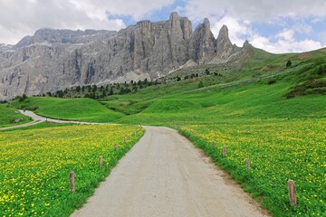 Fototapeta na wymiar Country roads on green meadows of wildflowers at the foothills of rugged Alpine mountain peaks~ Idyllic view of Sella Tower mountain range in Dolomites, Trentino, Alto Adige, South Tyrol, Italy Europe