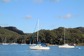 Fototapeta na wymiar Yachts on the Pittwater, near Scotland Island, Sydney, New South Wales, Australia