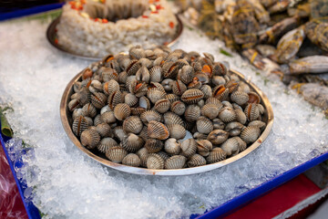 Raw blood cockles on ice
