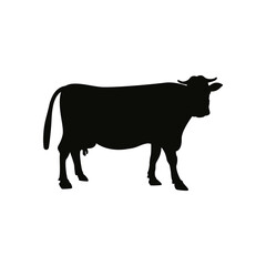 Cow icon design template vector isolated illustration