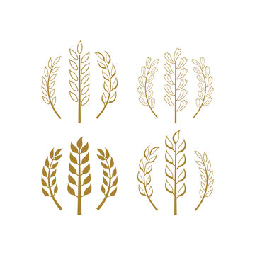 Wheat icon design template vector isolated illustration