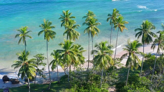 Amazing aerial shot with drone of Los Coquitos beach in Nagua, Dominican Republic