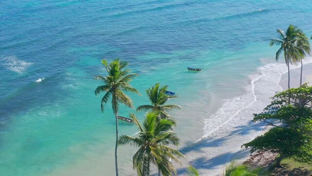 Three fishing boats ready to go fishing, in an aerial shot behind the coconut trees, waves on the beach turuesa azul water, sunny day
