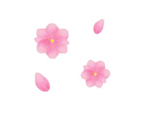 Fototapeta na wymiar 桃の花の水彩イラスト 