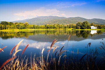 Mountain landscape, picturesque mountain lake in the summer morning,