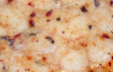 Farmer's cheese crust of cheese with grains inside. texture as hand-made cheeses ripen. orange white green solid background, cheese mold