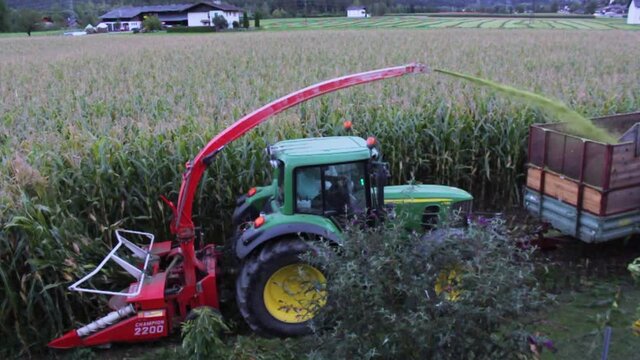 Farmer harvests corn with tractor in Austria.