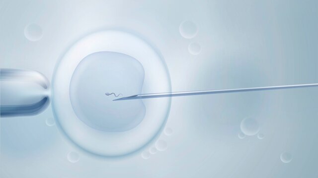 Scientific vector illustration with artificial insemination