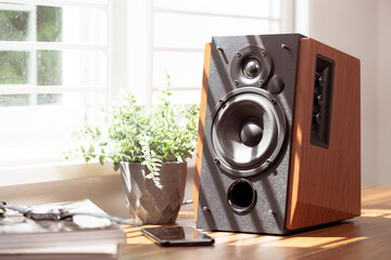 Bookshelf speaker, Home entertainment