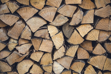 A stock pile of timber, chopped down trees.