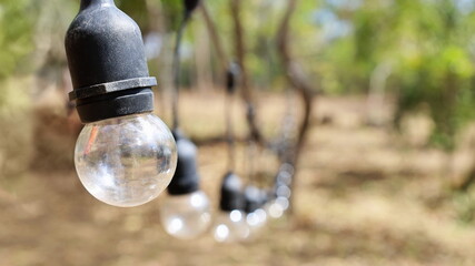 Round light bulbs hang on the wires. Outdoor retro incandescent bulbs lined up with a patio background and blurred green plants with copy space. Selective focus