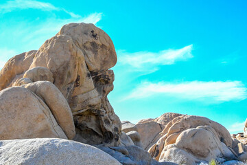An overlooking view of nature in Joshua Tree National Park, California
