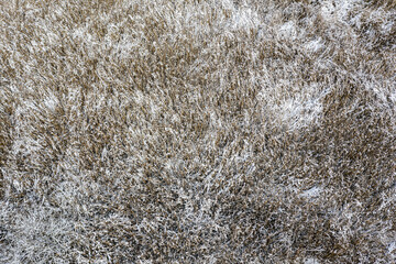 dry reed field covered with snow in the winter time. natural textured background. drone photography