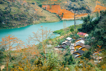 beautiful landscape of Red Silk Cotton Tree and many house  at Nho Que River, Ha Giang, Viet Nam