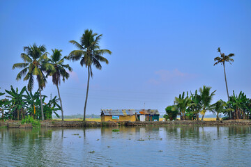 Kerala backwaters near alleppey