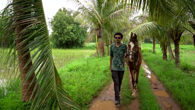 Young handsome man with brown horse.