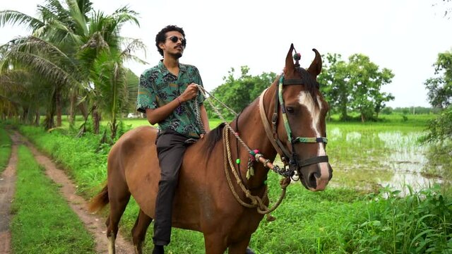 Young handsome man with brown horse. man riding horse