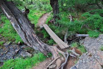 Hiking on Los Glacier national park Fitz Roy, El Chalten, Patagonia, Argentina