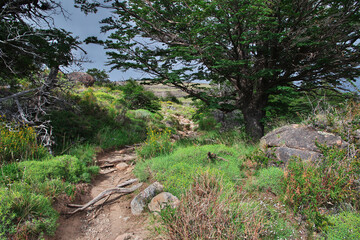 Hiking on Los Glacier national park Fitz Roy, El Chalten, Patagonia, Argentina
