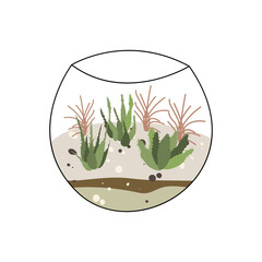 Florarium, glass vase. Succulent plants and cactuses in geometric glass pot. Garden in bottle, diy geometric terrarium, mini ecosystem. Vector flat cartoon illustration