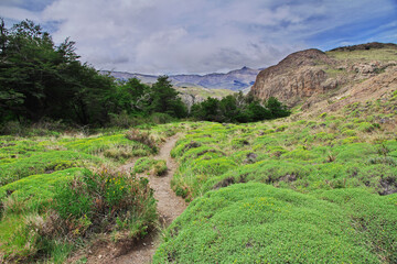 Hiking on Los Glacier national park Fitz Roy, El Chalten, Patagonia, Argentina