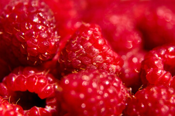 fresh red raspberry background, juicy berries